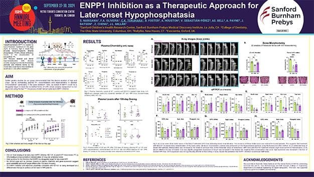 Poster: Inhibiting ENPP1 in Later-onset HPP